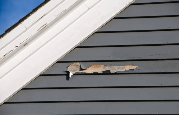 Best Same-Day Junk Removal Services  in Joshua, TX
